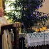 Praznik Svete družine na Selah 31.12.2017